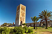 Rabat -  la Torre Hassan (1184 ad).